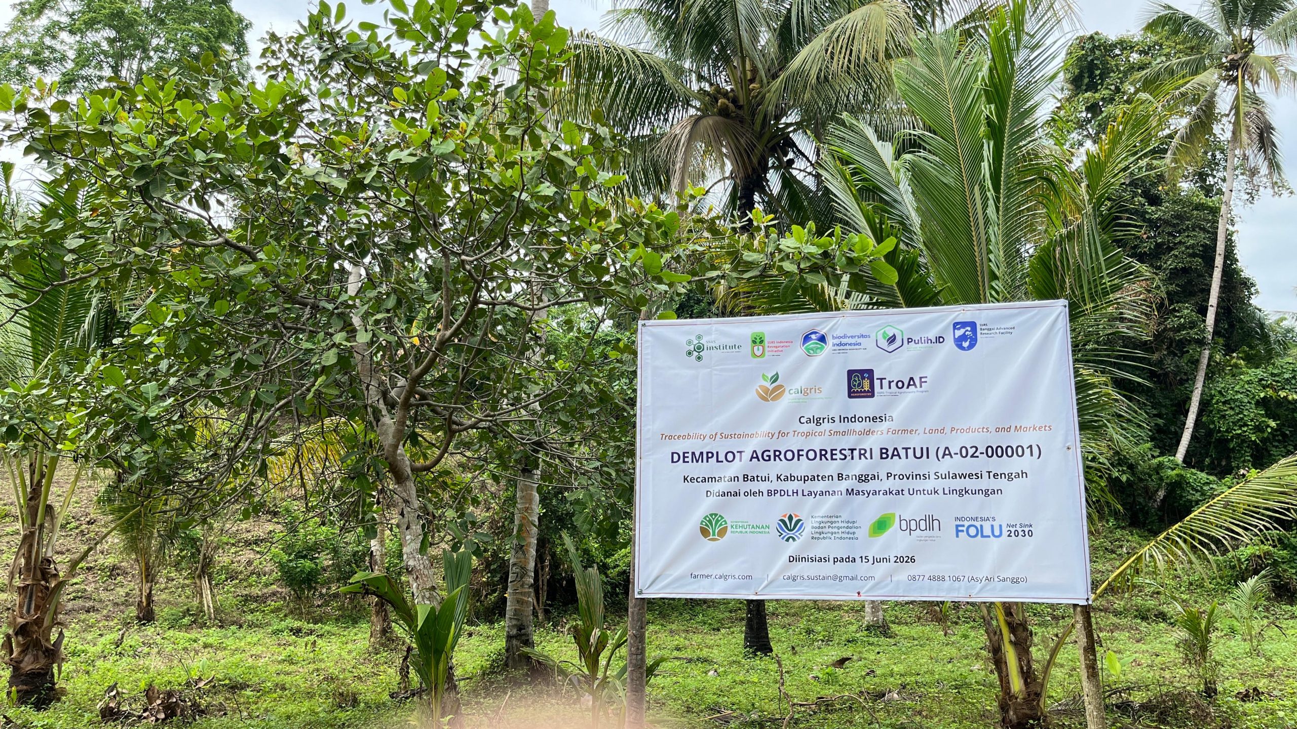 SSRS Tropical Agroforestry Program Meluncurkan Lokasi Eksperimen Intervensi Sistem Agroforestri di Kecamatan Batui, Kabupaten Banggai